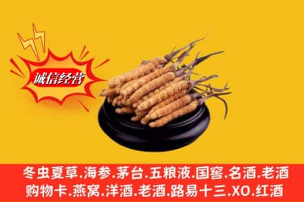 永康市求购回收虫草多少钱每克